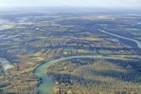 Flussschlingen, Auwälder und Überschwemmungsflächen sind typische Merkmale des Mittellaufs natürlicher Flüsse. Entlang der Save findet man so eine Landschaft im Lonjsko Polje Naturpark.